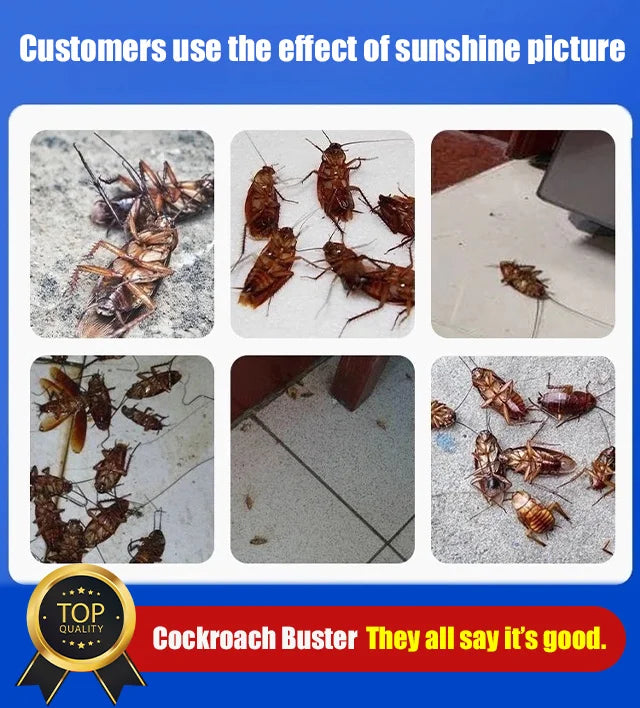【5 scatole/10 scatole】 Patch di gel potente per eliminare le blatte
